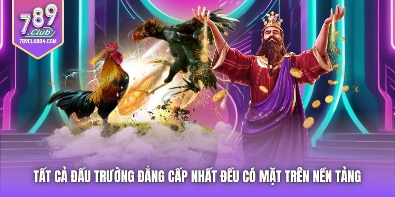 Tất cả đấu trường đẳng cấp nhất đều có mặt trên nền tảng